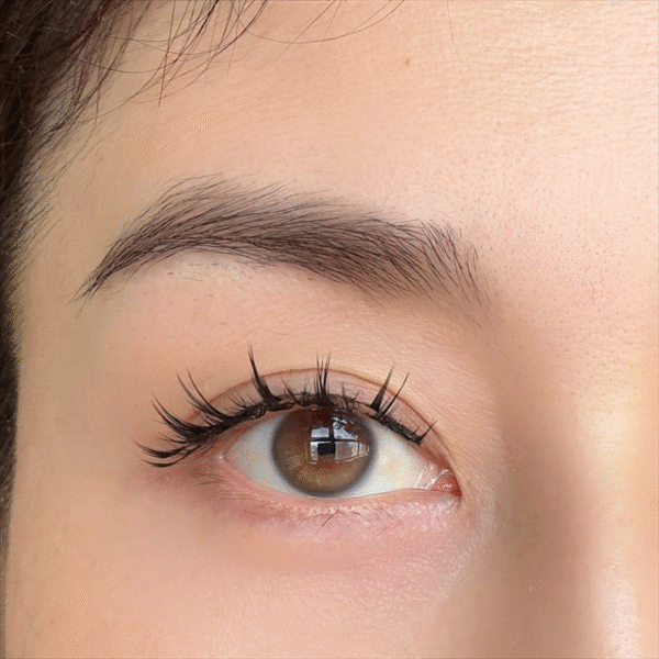 Quantum magnetic soft eyelash 4 pieces in1pairs(PRINCESS) - Image 6