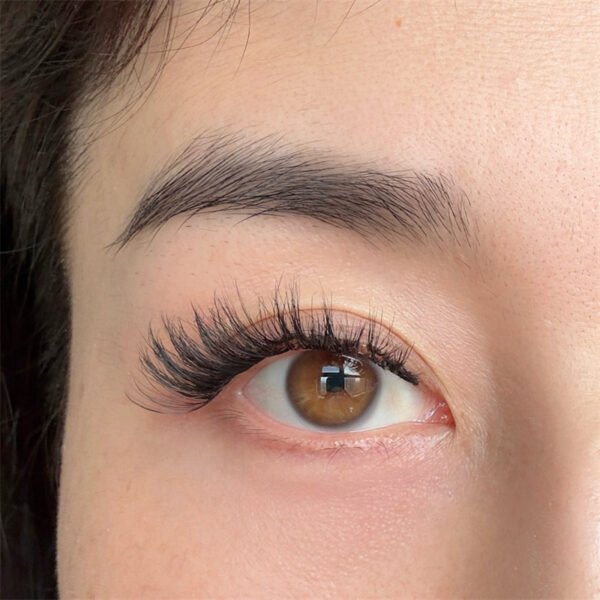 Quantum magnetic soft eyelash 4 pieces in1pairs（BUTTERFLY） - Image 5