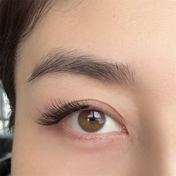 Half quantum magnetic eyelash 4 pieces in1pairs（CAT EYELASH 2） - Image 4