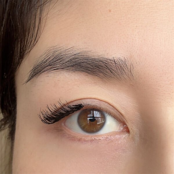 Half quantum magnetic eyelash 4 pieces in1pairs（CAT EYELASH 4） - Image 4
