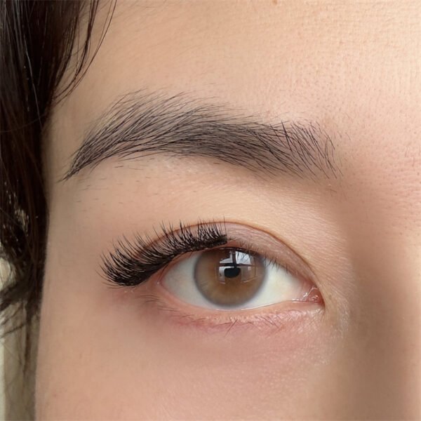 Half quantum magnetic eyelash 4 pieces in1pairs（CAT EYELASH 1） - Image 4